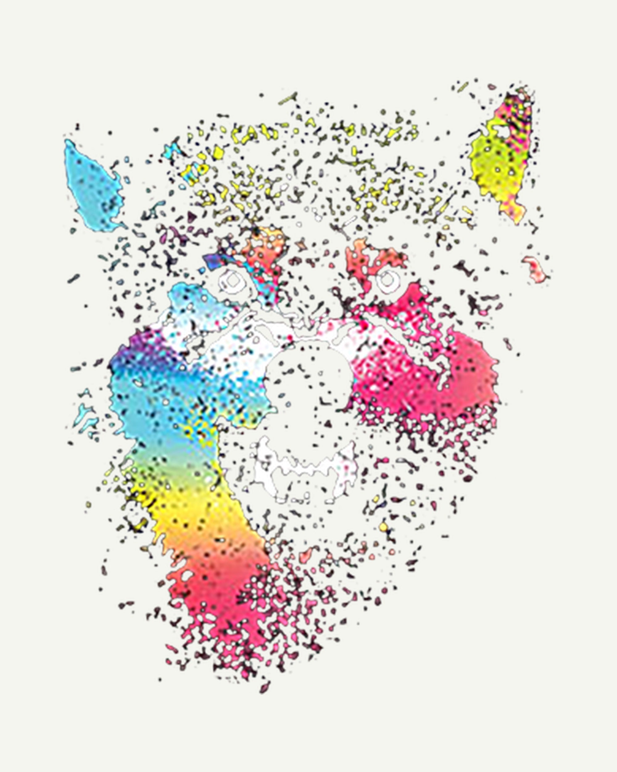 color wolf - Graphic Design